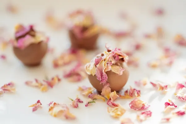 Kasino Haiti Win Android/iOS Sovellus